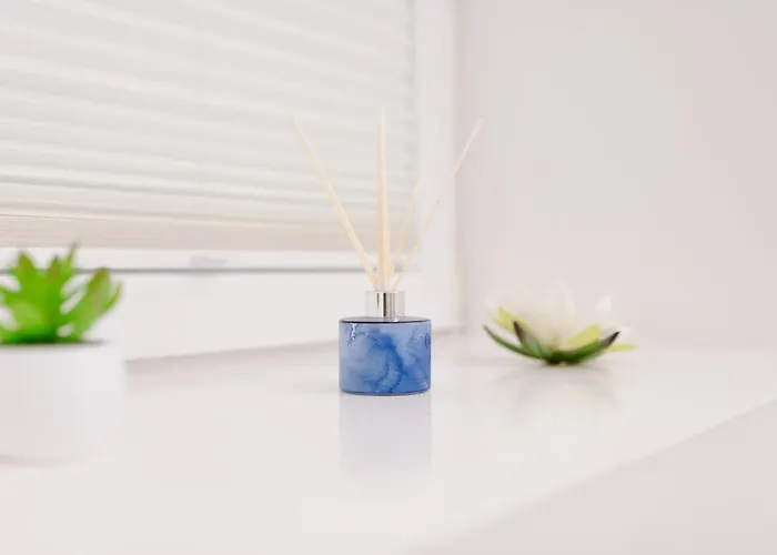 Velden24 - Create Your Own